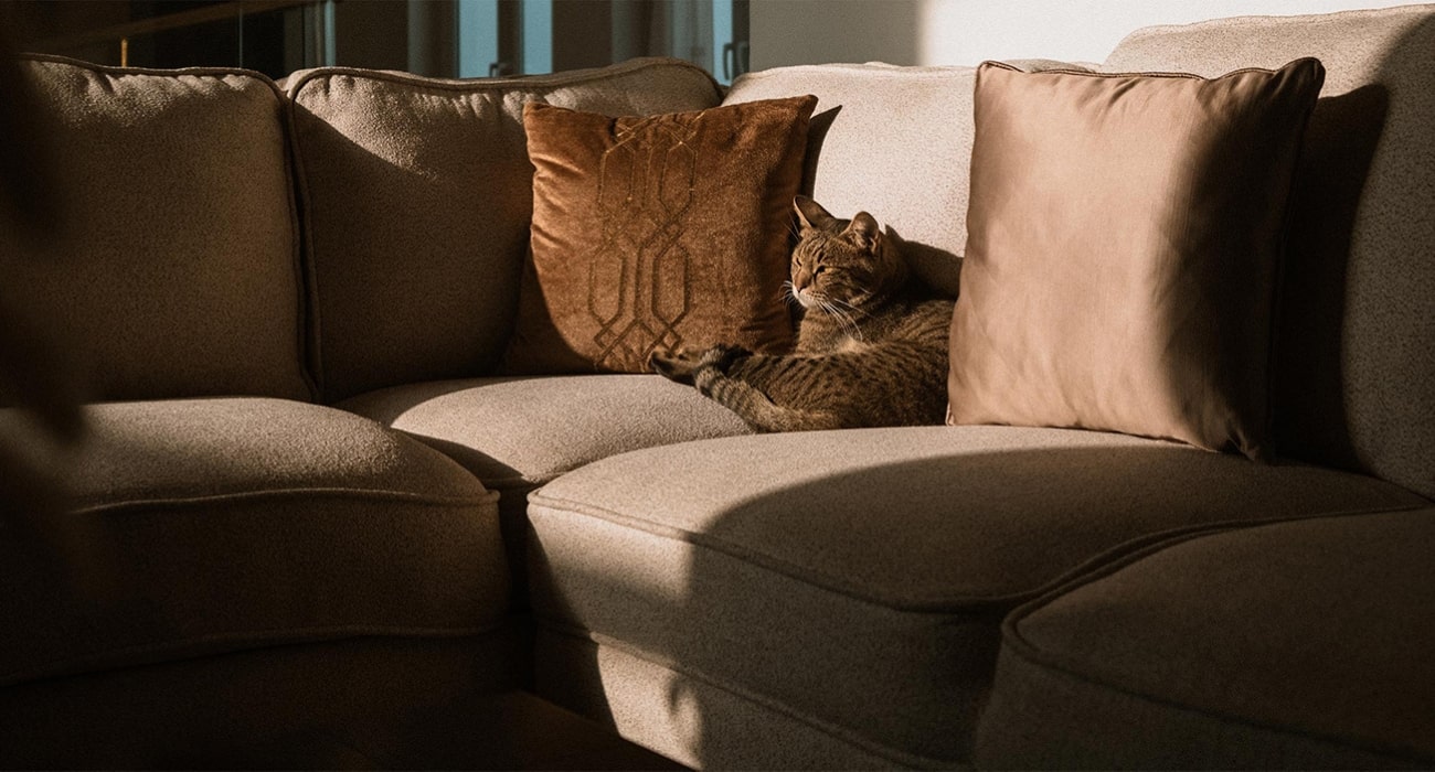 Barsha Villa Interior Design